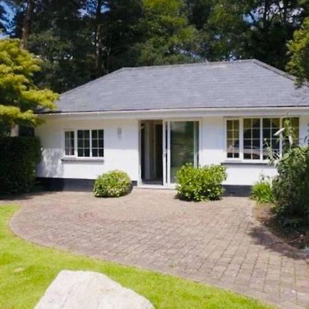 Chadham Pines Cottage Poole Eksteriør billede